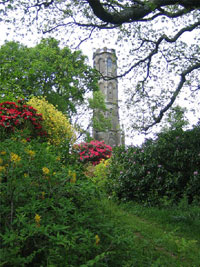 Charborough Folly