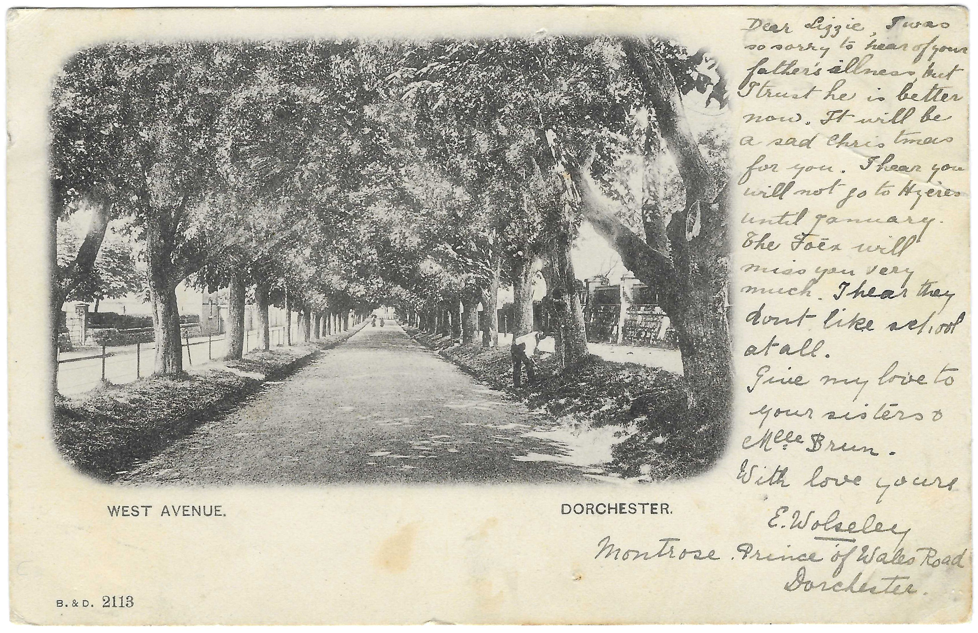 West Avenue Dorchester c1895